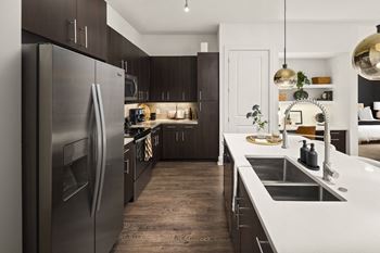 Gourmet-inspired kitchens